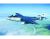 Seahawk Mk 100/101 Aircraft 1/48