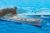 USS Yorktown CV-5 1/200