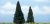 Evergreen Trees 2pc