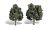 Classic Trees Cool Shade 5-6in
