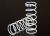Springs XXLong GTR Blue 1.004 Prog Rate pr