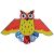 Rainbow Holographic Owl Kite 57in