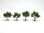 Light Green Realistic Trees 2-3in