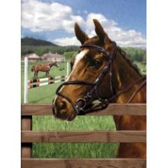 Equine Paddock Paint by Number