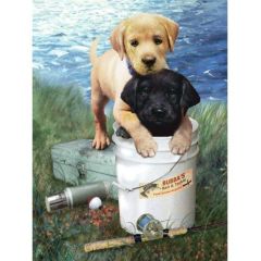 Fishin Buddies Paint by Number