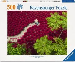 A Sea of Red 500pc