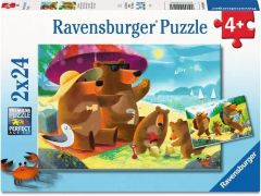 Bear Family Vacations 2x24