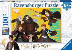 Harry Potter 100XXL pc