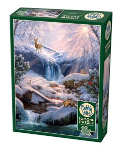 Mystic Falls in Winter1000pc