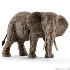 African Elephant Female