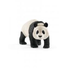 Giant Panda Male