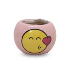 Pink Smileys Grass Grow Kit