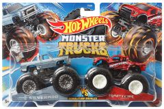 Hot Wheels Monster Trucks 2pk 1/64