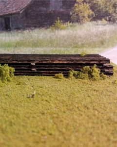 Discarded Scenic Rails