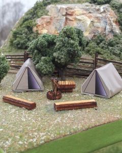 Camping Scene