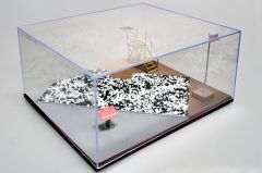 Display Case 316mm x 276mm x 136mm
