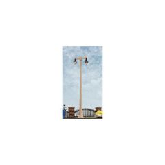 Dbl-Arm Acorn Style Street Lights