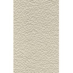 PS-72 Field Stone 1/100
