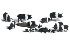 Hampshire Pigs HO Scale