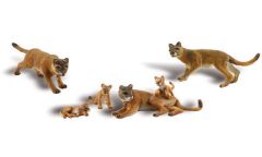 Cougars And Cubs
