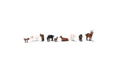 Herd of Goats