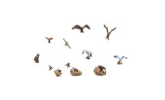 Birds & Nests HO Scale