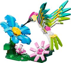 Creator Colourful Hummingbird