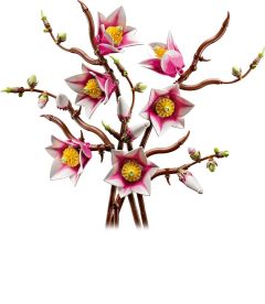 Magnolia Branches