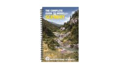 Complete Guide To Model Scenery