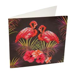 Flamingos CA Card Kit