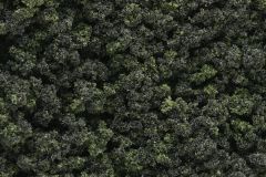 Underbrush Forest Blend