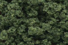 Clump Foliage Medium Green