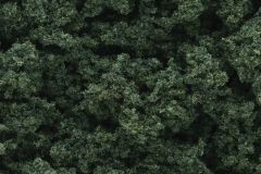Clump Foliage Dark Green