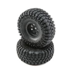 Maxxis CCLT Mtd Black pr