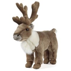 Living Nature Raindeer