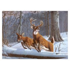 White Tails Paint by Number