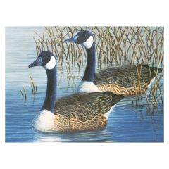 Geese Paint by Number
