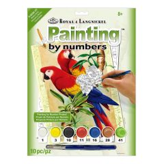 PBN Bamboo Parrots