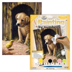 Labrador Puppy Paint by Number
