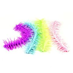 Candy Coloured Caterpillar