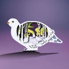 Art Kit Ptarmigan