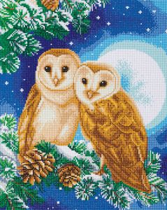 Moonlight Perch 40 x 50cm Crystal Art Kit