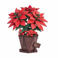Rowood Poinsettia