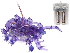 Remote Control Stag Beetle