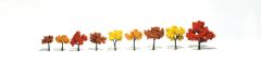 Fall Mix Realistic Trees 1.25-3in