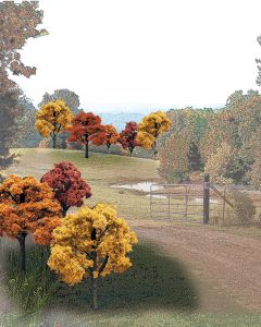Deciduous Fall Trees (23)