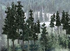 Conifer Colors Pine Trees 2-4in