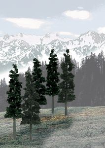 Conifer Colors Pine Trees 6-7in