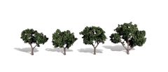 Classic Trees Cool Shade 2-3in