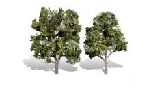 Classic Trees Sun Kissed 5-6in